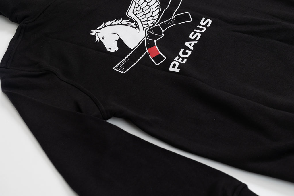 Unisex Pegasus hoodie