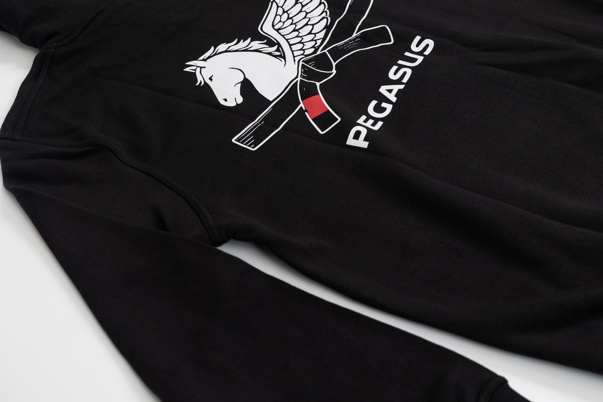 Unisex Pegasus hoodie