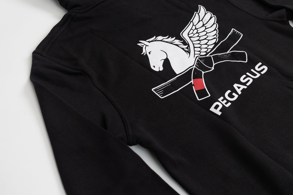Unisex Pegasus hoodie