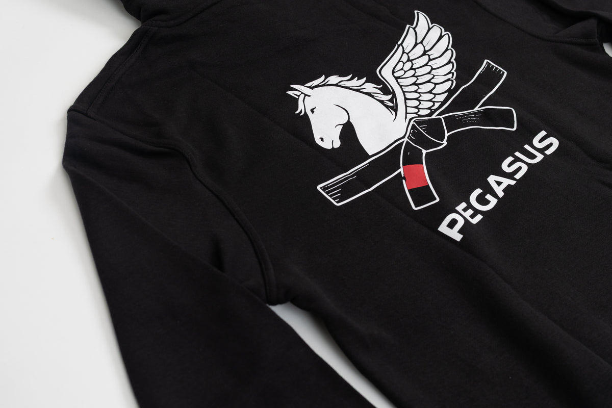 Unisex Pegasus hoodie