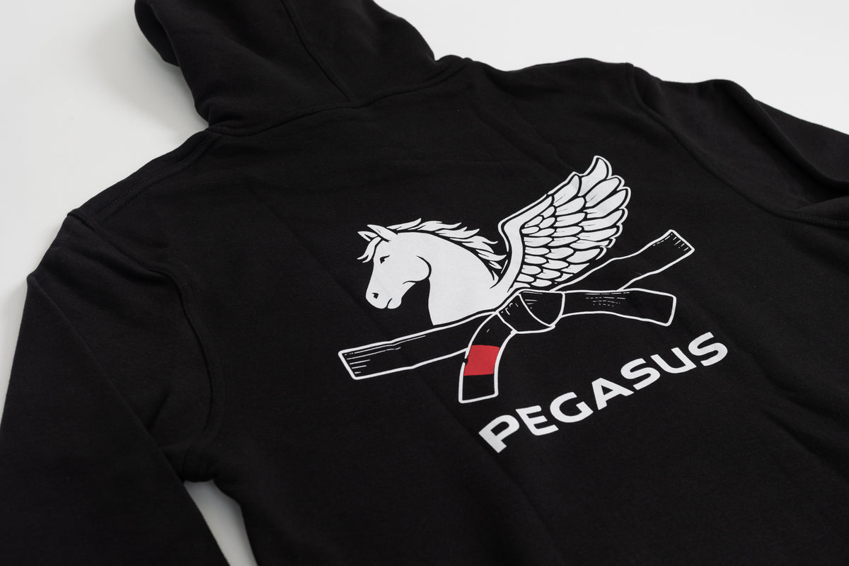 Unisex Pegasus hoodie
