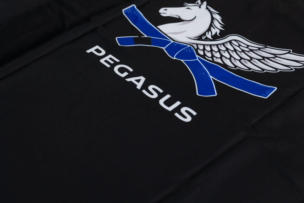 RANKED Blue Rashguard