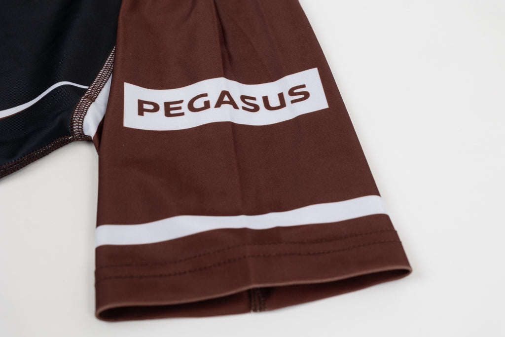 RANKED Brown Rashguard