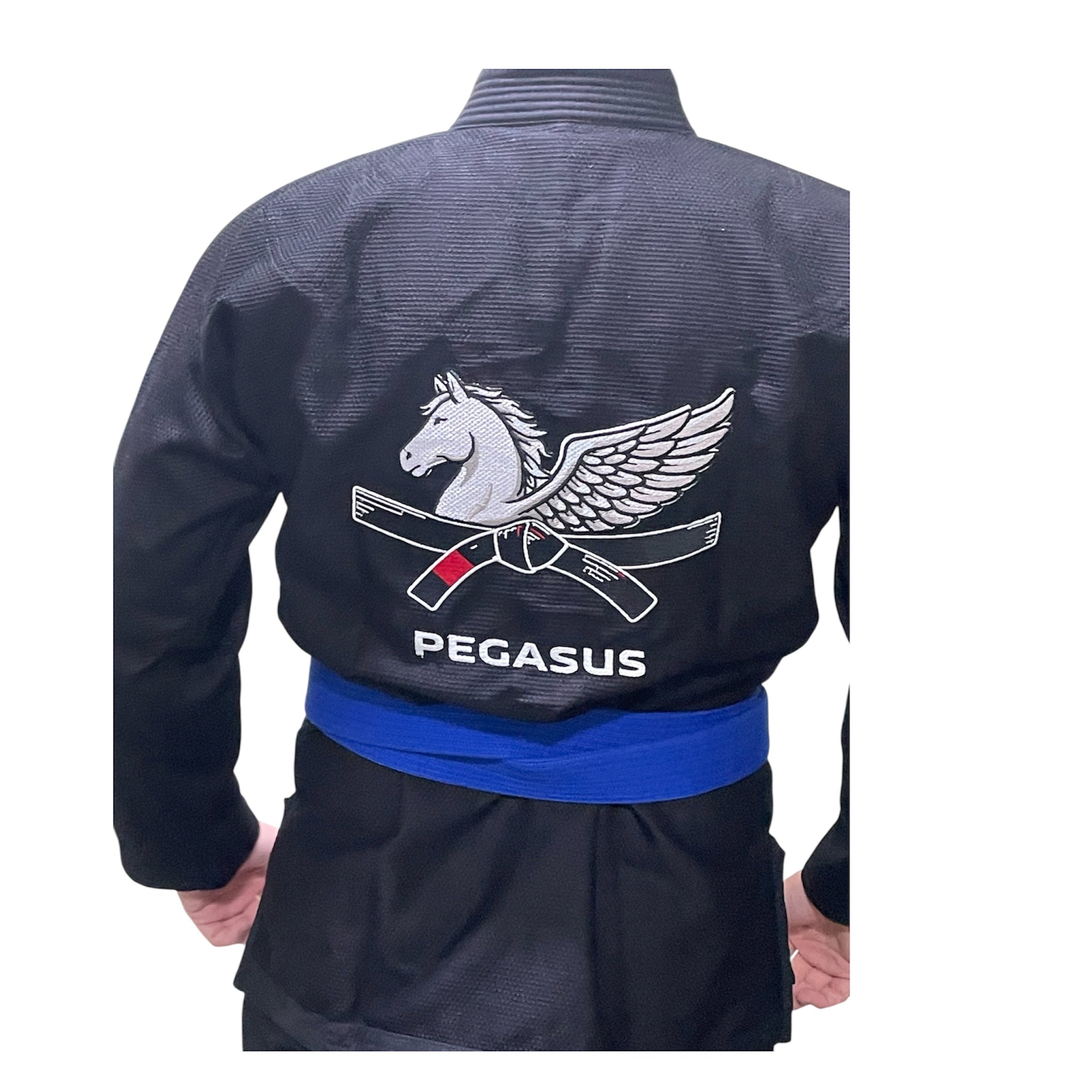 Men's Pegasus GI