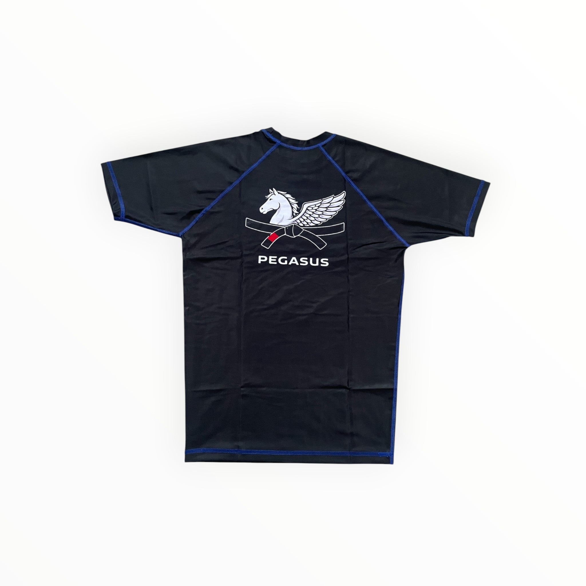 Men's Blue DEFINE Rashguard