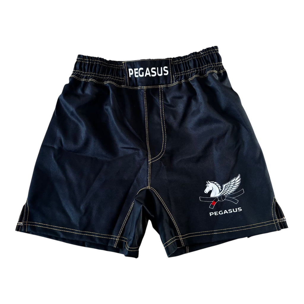 ORIGIN Shorts