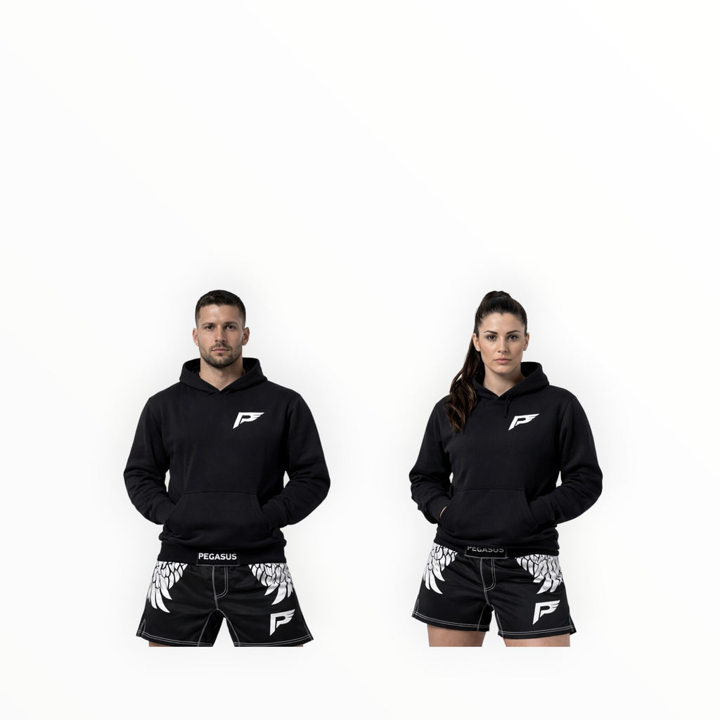 Unisex Pegasus hoodie
