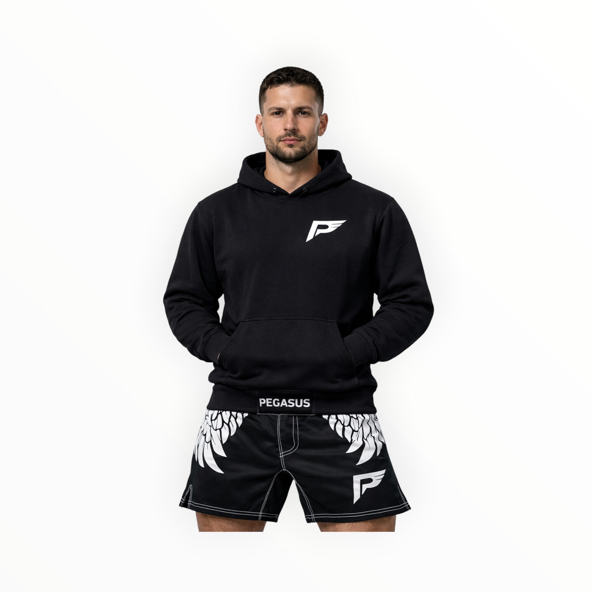 Unisex Pegasus hoodie