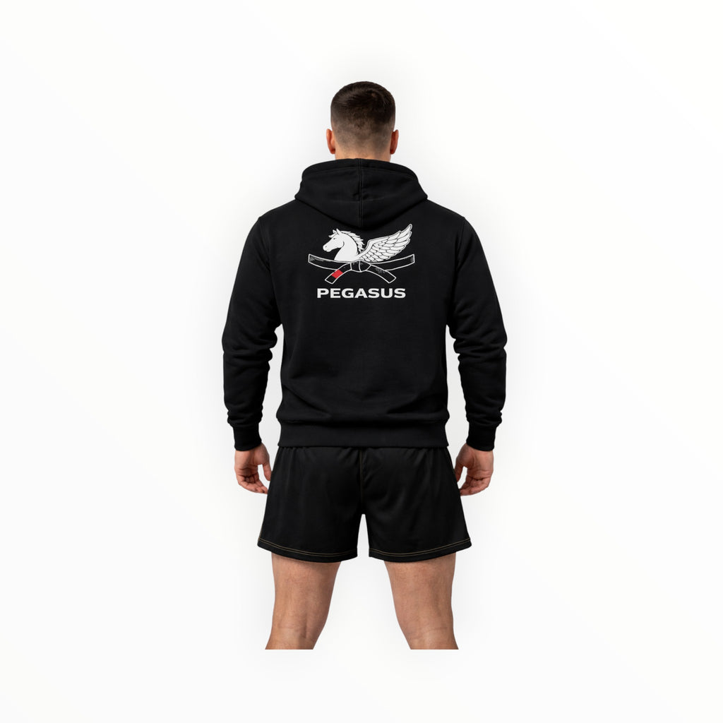 Unisex Pegasus hoodie