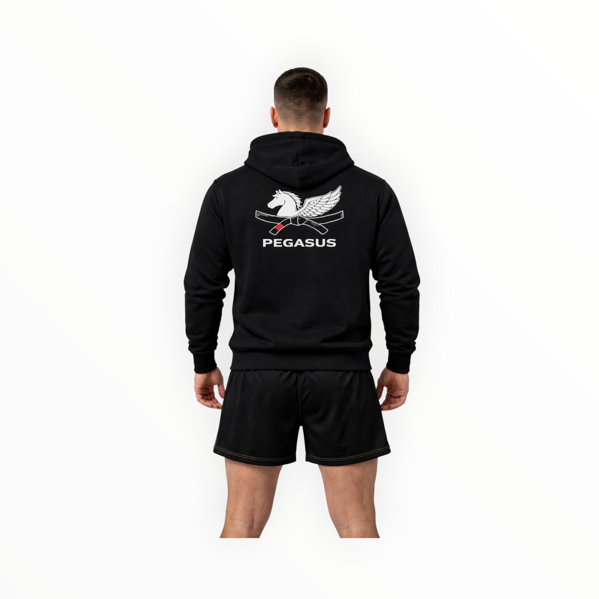 Unisex Pegasus hoodie