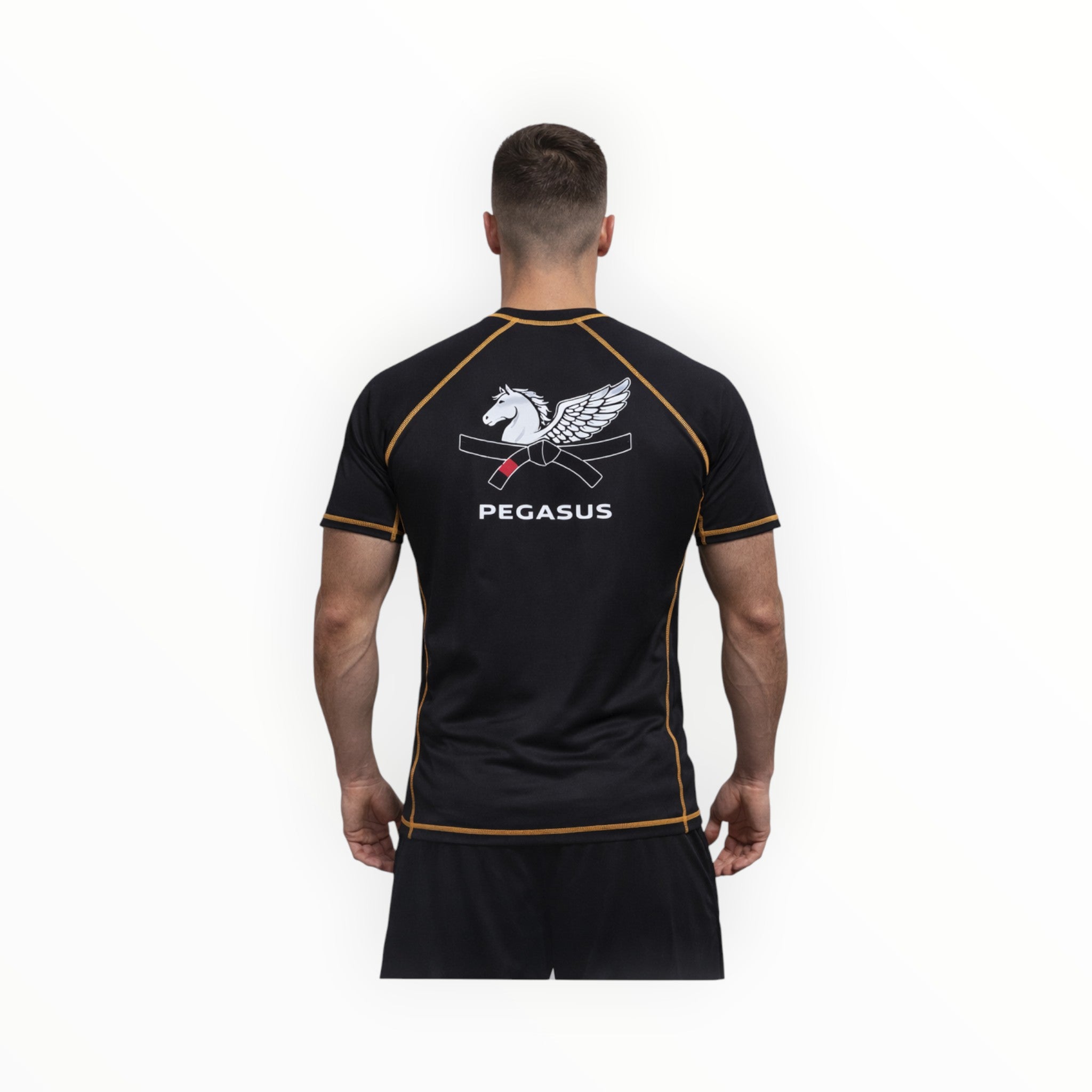 Men's ORIGIN Rashguard