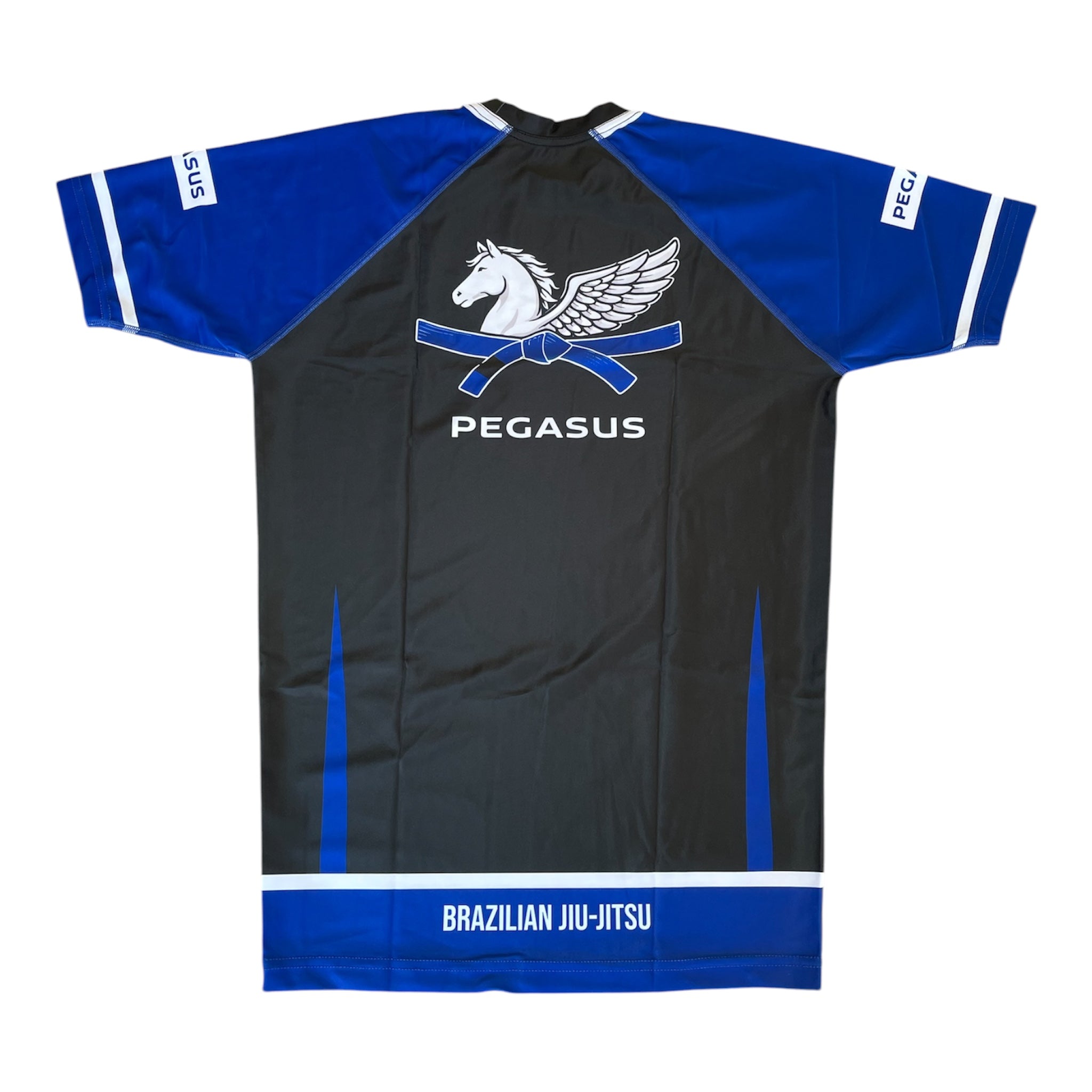 RANKED Blue Rashguard