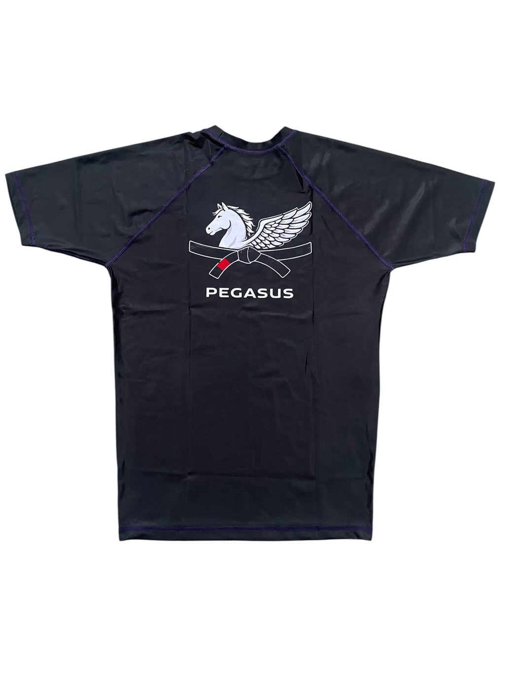 Men's Purple DEFINE Rashguard