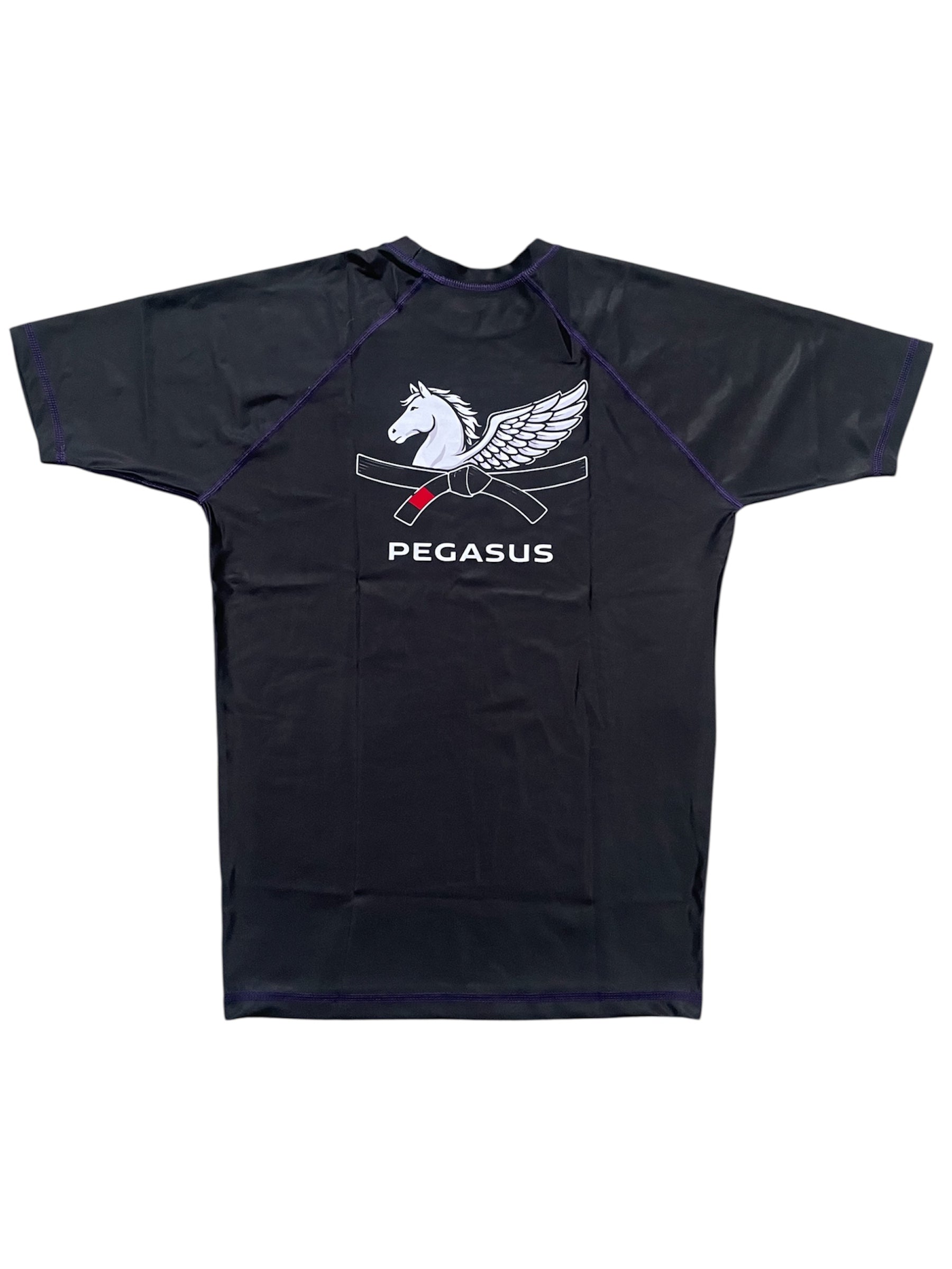 Men's Purple DEFINE Rashguard