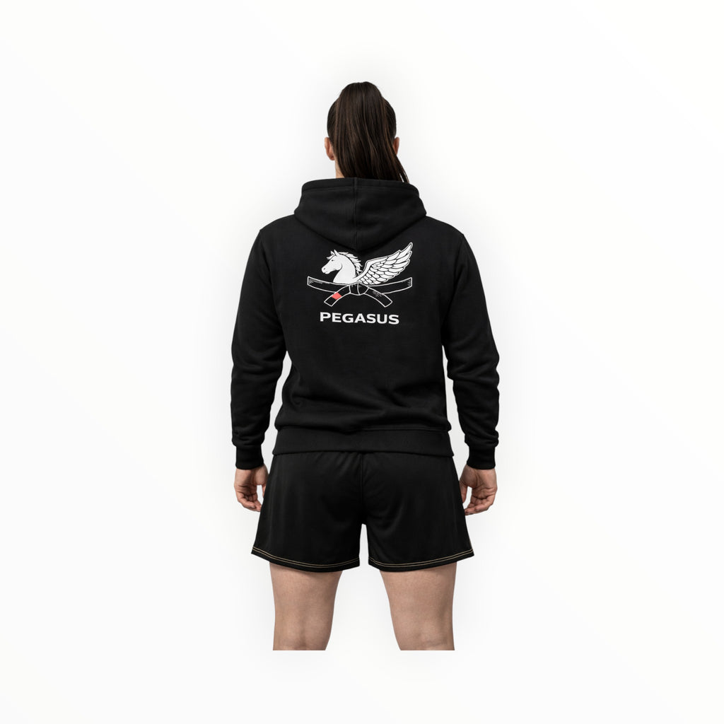 Unisex Pegasus hoodie