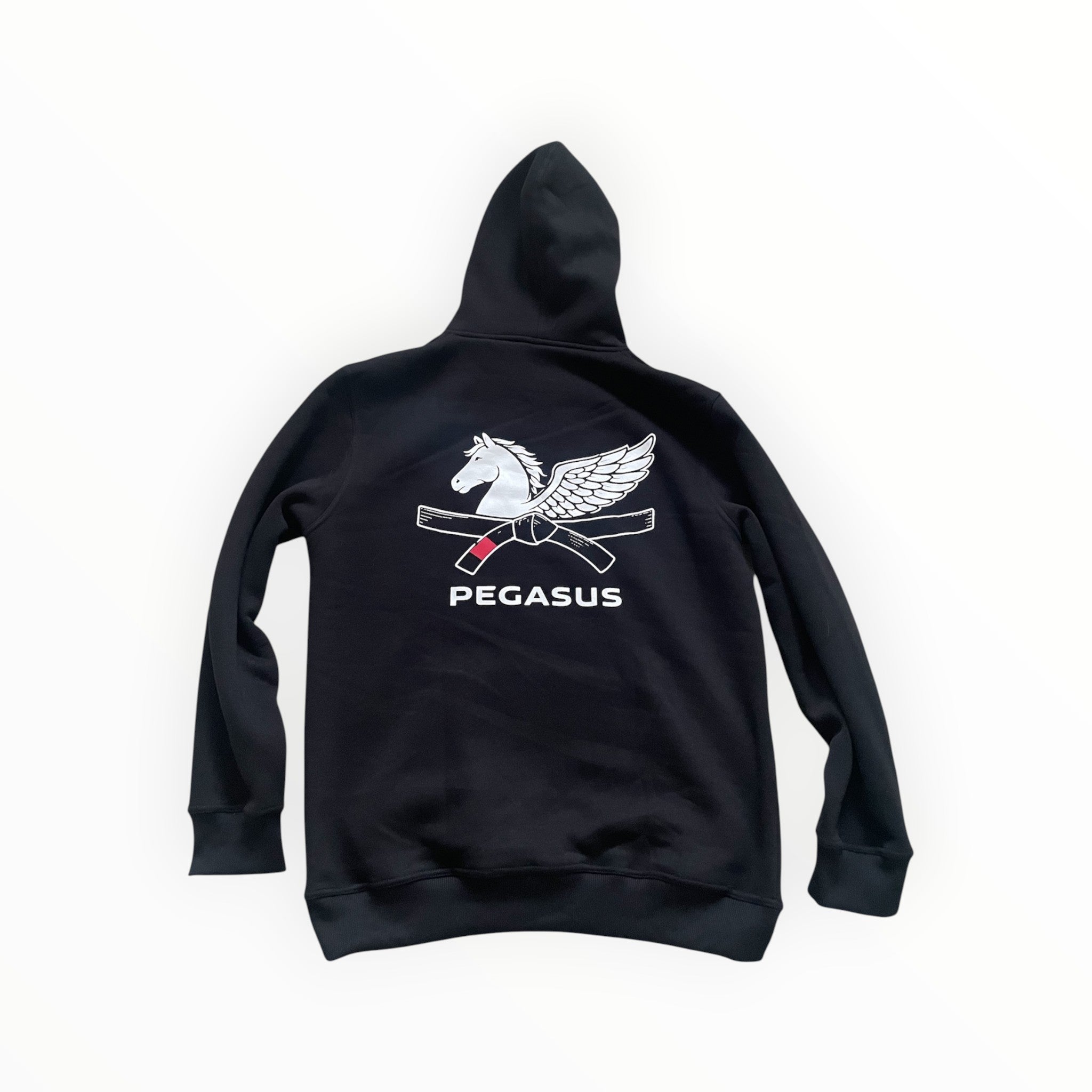Unisex Pegasus hoodie